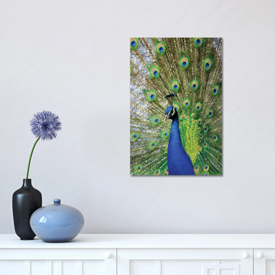 Beauty IV by Goran Anastasovski - Wrapped Canvas Print