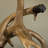 Northborough Resin Standard