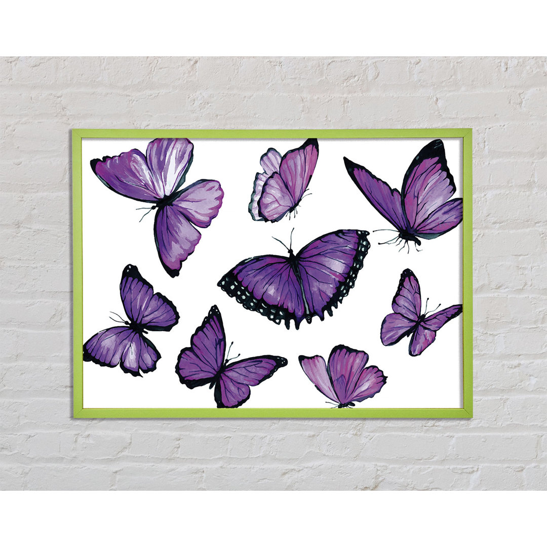 Yeadon Purple Butterfly Frenzy - Einzelner Bilderrahmen Kunstdrucke