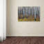 Fabrizzio "Aspen Trees in Autumn" par Pierre Leclerc, reproduction de photo sur toile tendue-19654344