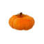 Citrouille orange (paquet de 6)