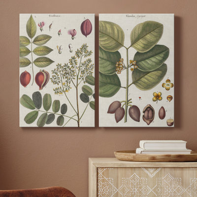 Exotic Botanique I - ensemble de 2 reproductions d'art sur toiles tendues