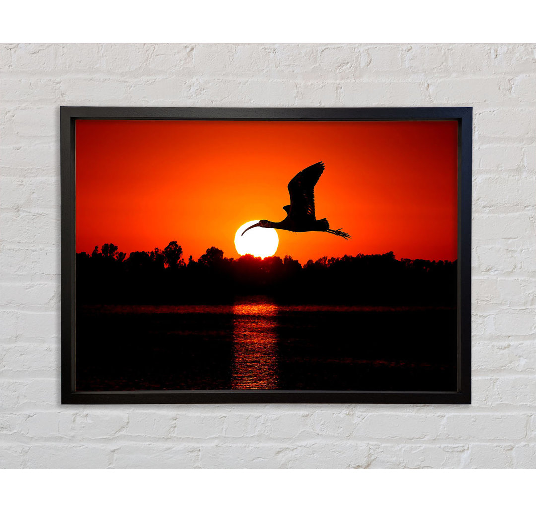 Bird Flying At Sunset - Einzelbildrahmen Kunstdrucke auf Leinwand