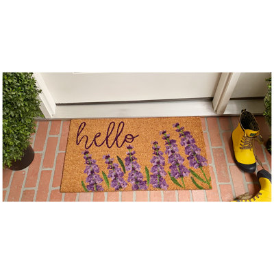 Tapis de porte d'extérieur antidérapant 29 po x 17 po Vick Lavender Hello