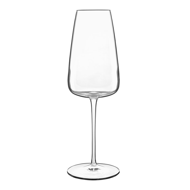 Luigi Bormioli Talismano 13.5 oz Prosecco / Champagne / Cava / Lambrusco / Sparkling Wine Glasses, 13.5oz