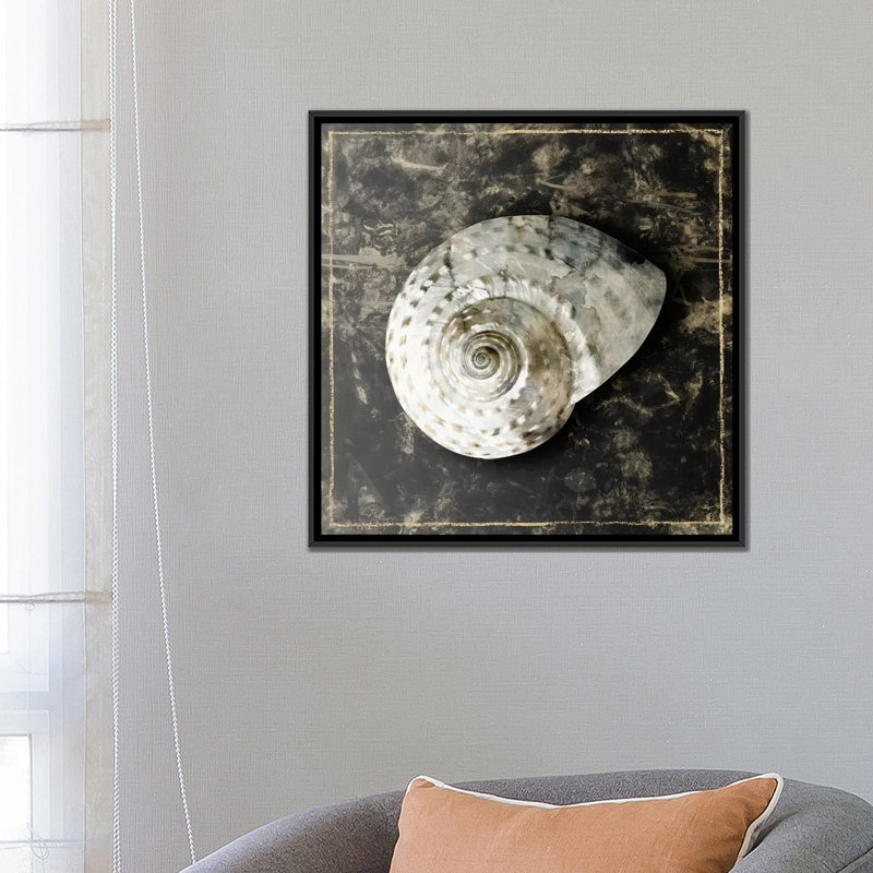 «Marble Shell Series II», reproduction sur toile, H 18 po x l 18 po x P 1,5 po, Toile encadrée noire, Pas de tapis