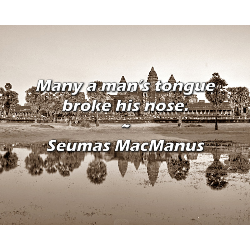 Citation de Seumas Macmanus: Beaucoup de gens ont la langue cassée.