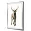 «Majestic Wildlife II», reproduction-865253693-865283580