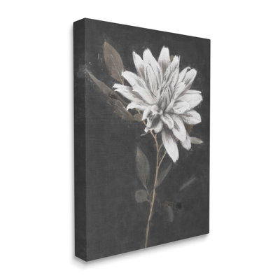 Blooming Dahlia Flower Black Background by Nina Blue - Wrapped Canvas Painting -  Red Barrel Studio®, D7179455B56F45BAB8B86DF01EC438B1