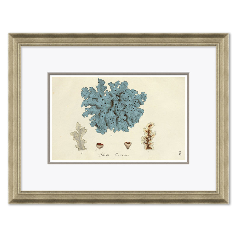 Blue Coral Giclee Print by Paul Cezanne