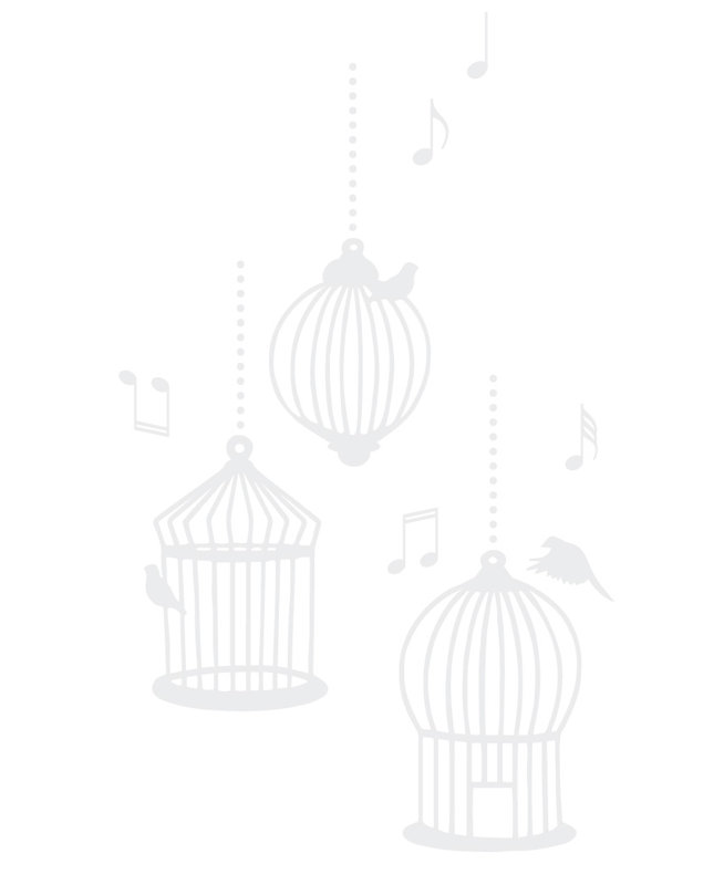 Décalcomanie murale cages d’oiseaux de chanson, H 37 po x l 22 po x P 0,01 po, Blanc