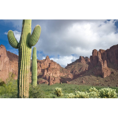 Rugged Desert Landscape by Vlynder