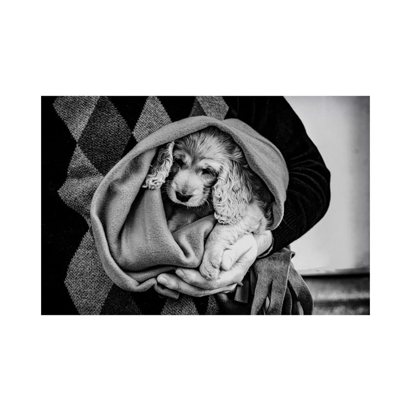 Friendship 1 Piece Wrapped Canvas Wall Art, 20.32cm H x 30.48cm W x 1.905cm D