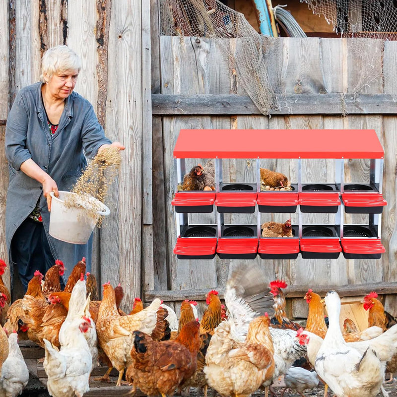 Boîtes de nidification pour poulets, grande boîte à poulets en métal, Rouge, H 31,1 po x l 52,56 po x P 20,47 po