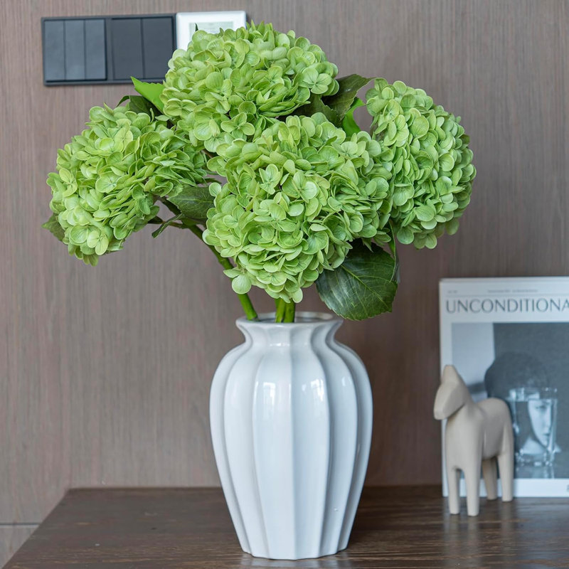 hydrangea