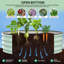Raised Garden Bed-1145709032