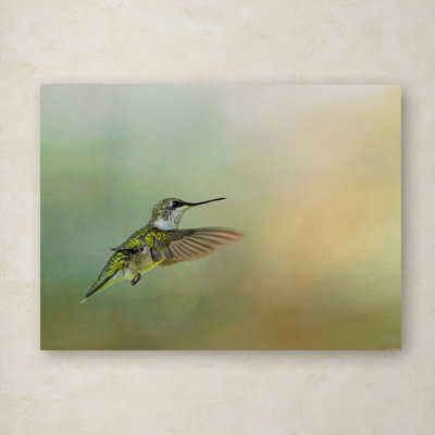 «Peaceful Day With a Hummingbird», impression sur toile tendue Vidur