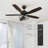 Melbyrn 52'' Ceiling Fan with Light Kit