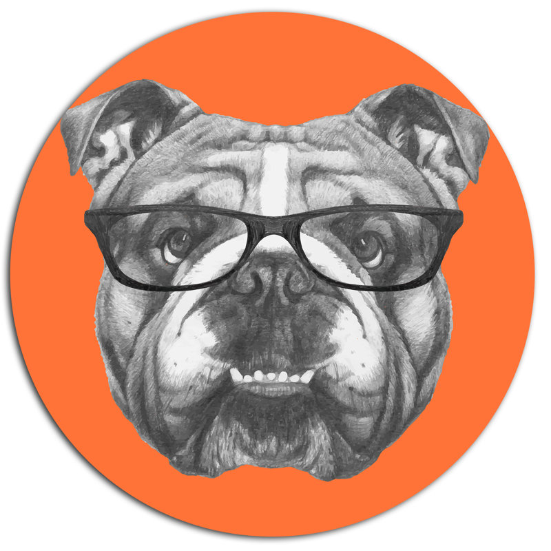 «English Bulldog with Glasses», impression sur métal, H 36 po x l 36 po x P 1 po