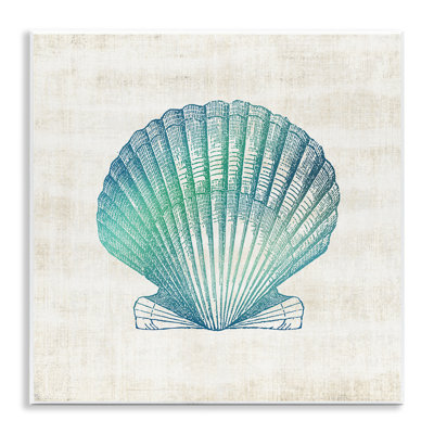Gradient Clam Seashell Wall Plaque, design by Susan Arnot