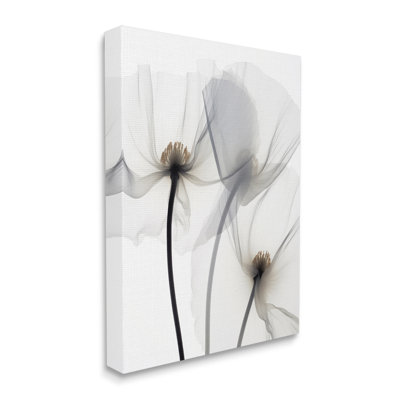 Coquelicots blancs modernes sur toile
