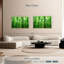 Alvord Sunlit Green Forest-107688138