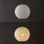 Anthoy 1 - Light White/Black Pendant-280397586