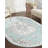 Oriental Indoor Rug-342492918