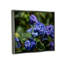 «Latitude Run® Hydrangea mauve, photographie encadrée sur toile flottante par Aaron Matheson-823702500-823702502