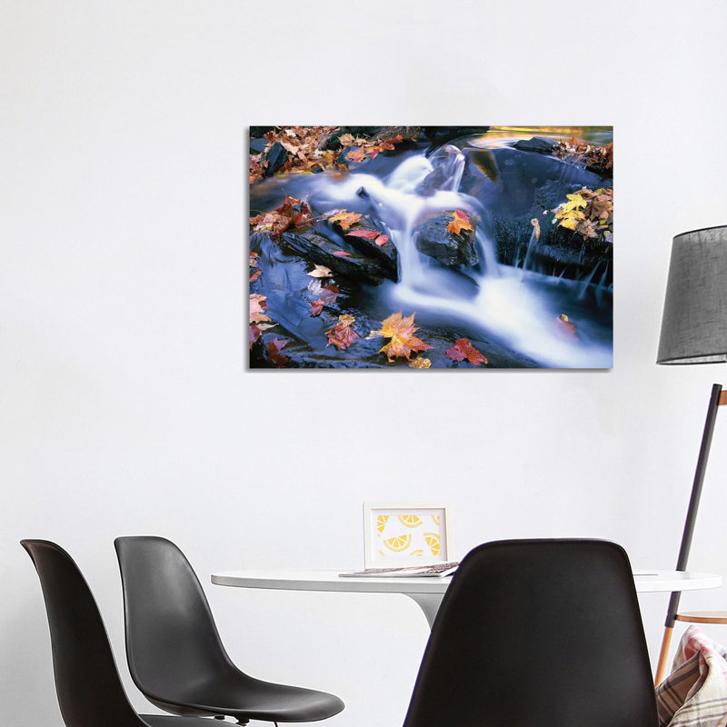 Autumn Leaves in Little River, Great Smoky Mountains National Park, Tennessee - Horizontal 1 Piece Wrapped Canvas Wall Art
