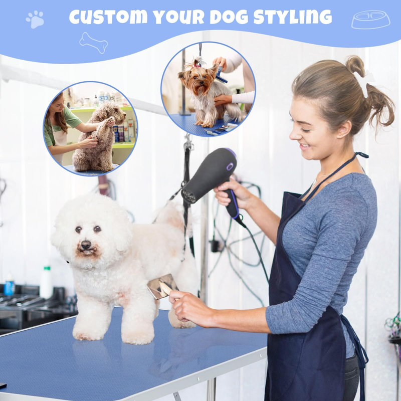 Table de toilettage pour chien 48 po, Bleu