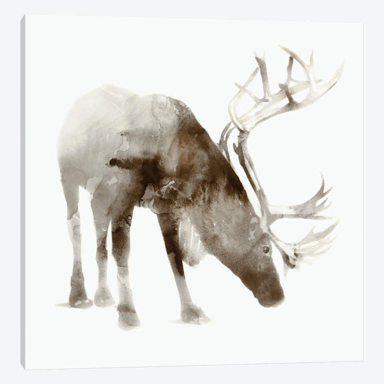 Caribou par Edward Selkirk - impression sur toile tendue, H 37 po x l 37 po x P 1,5 po, Toile tendue, Pas de tapis