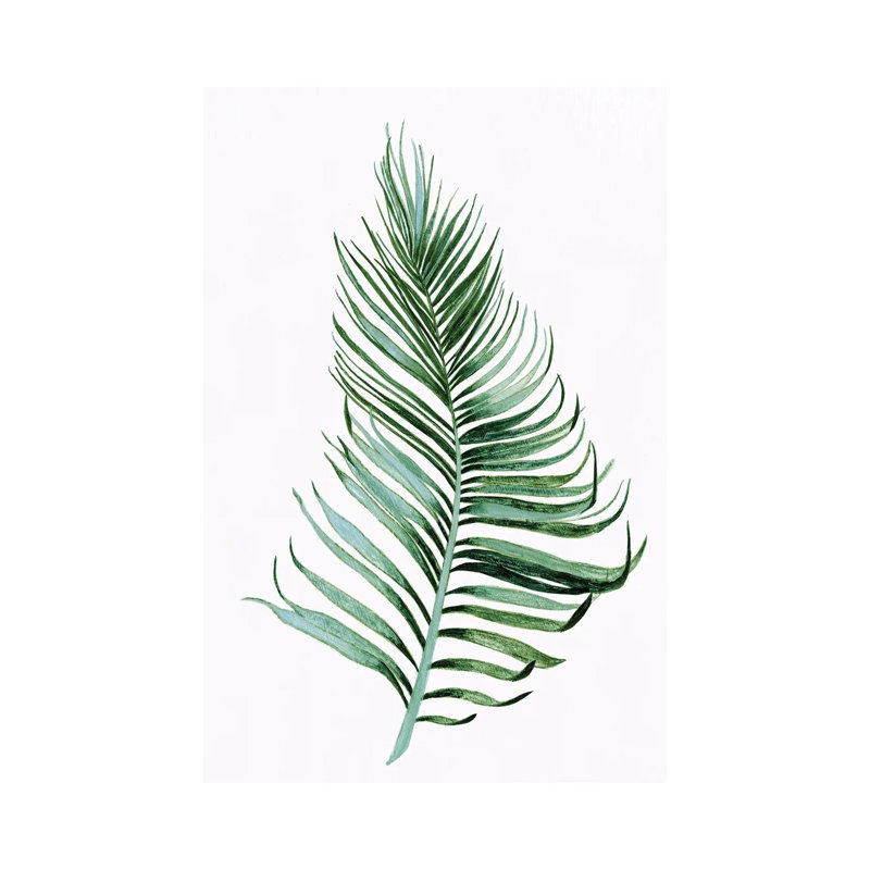 Sage Frond II by Tava Studios - Gallery-Wrapped Canvas Giclée on Canvas, Canvas, 20.32 cm H x 30.48 cm W
