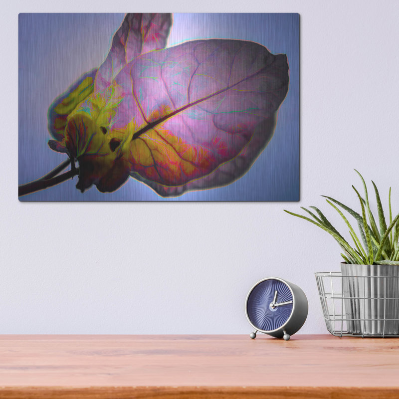 «Bougainvillea Leaf» par Pamela Plummer, H 12 po x l 16 po