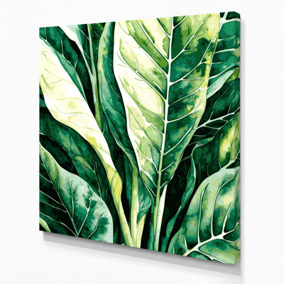 "Watercolor Botanical 41", art mural sur toile verte