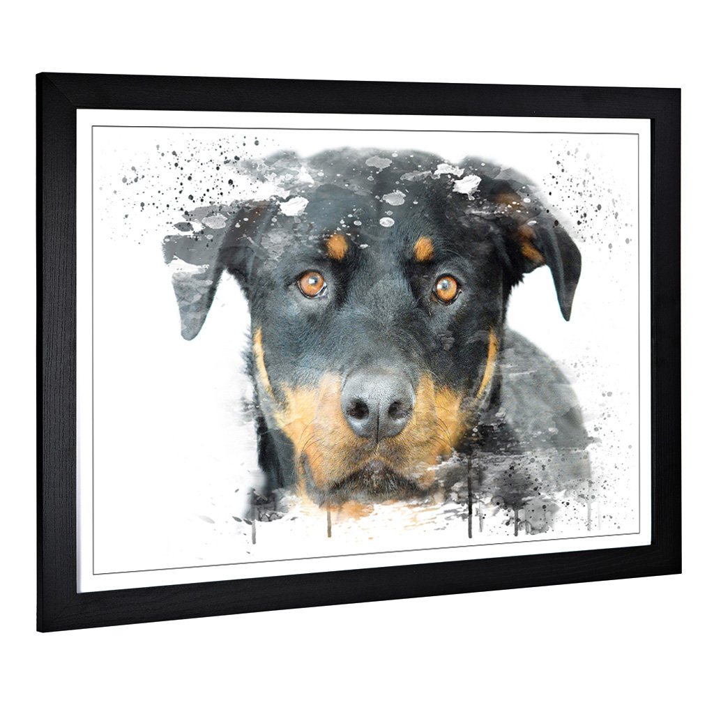 Rottweiler Dog - Wall Art