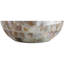 Lampe de table Coastal Seashell Mosaic For Living
