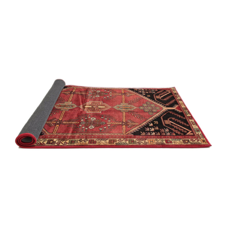 Cardonaghy Oriental Indoor Rug, Round 5'