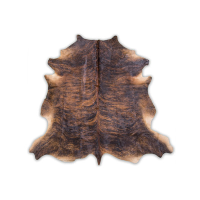 Southwestern Indoor Rug