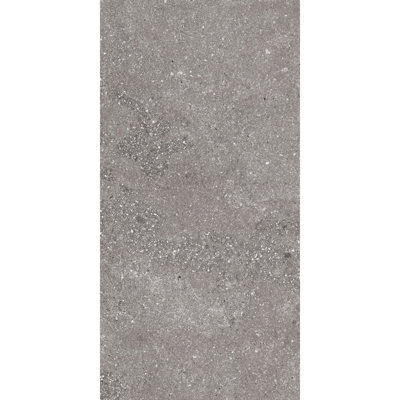 Sensory Details 12" X 24" Porcelain Concrete Look Tile