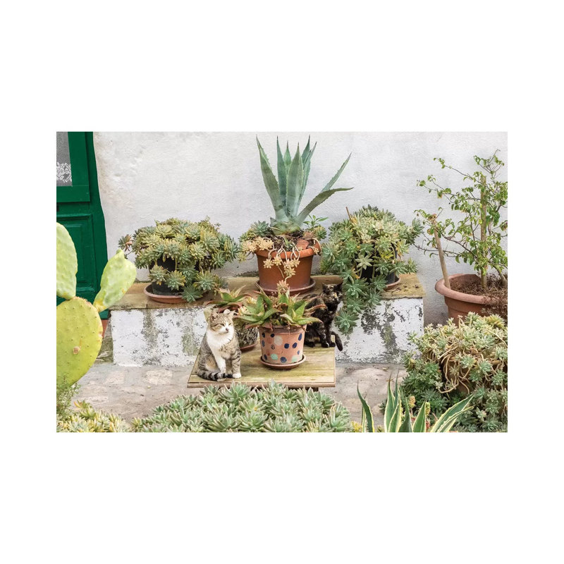 Plants Adorn The Outside Walls Of The Sassi Houses by Julie Eggers - Wrapped Canvas Painting, 20.32cm H x 30.48cm W