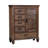 Ranbir 5-drawer Door Chest Burnished Oak-556702771