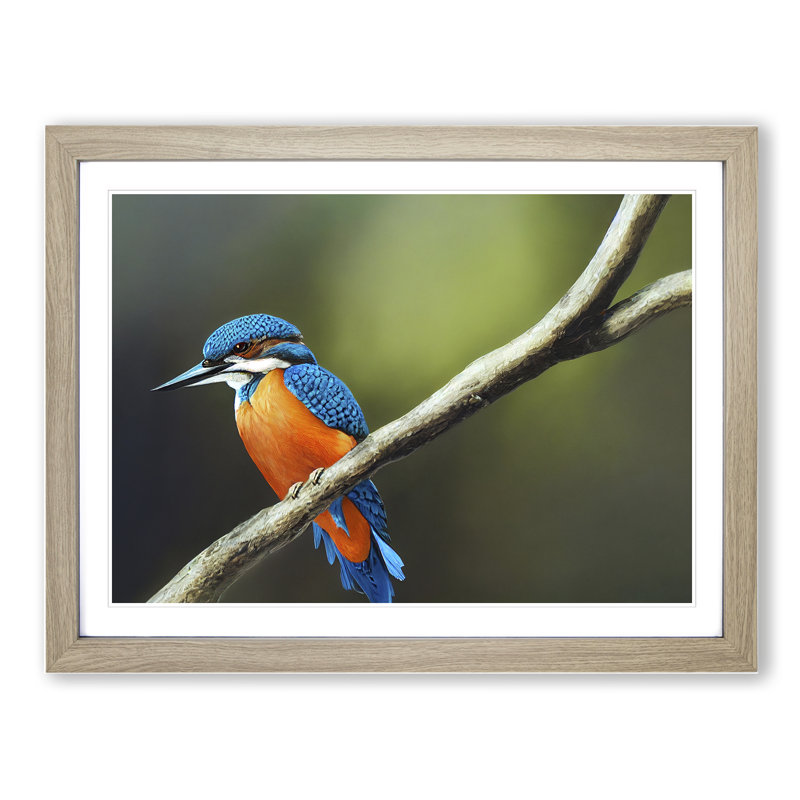 XH1022-9498X Unreal Kingfisher Bird 1 Piece Single Picture Frame Wall Art, 34cm H x 46cm W x 2cm D, Oak Framed