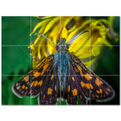 Murale décorative en céramique 12 po x 12 po Butterfly Photo