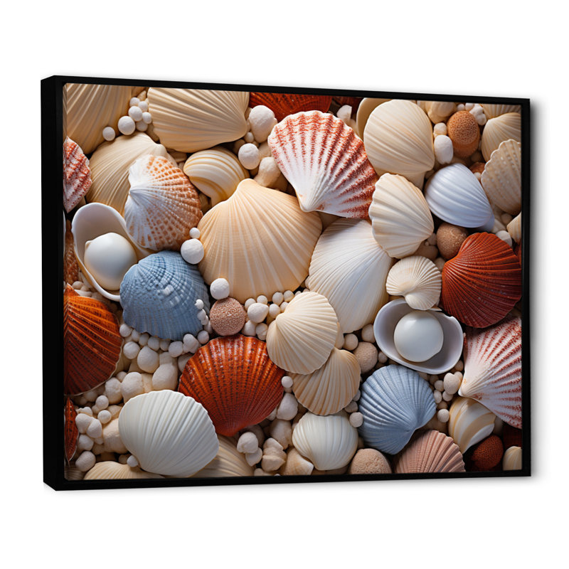 «Beach Photo Seashell Symphony III», reproduction d'art sur toile, H 12 po x l 20 po x P 1 po, Noir