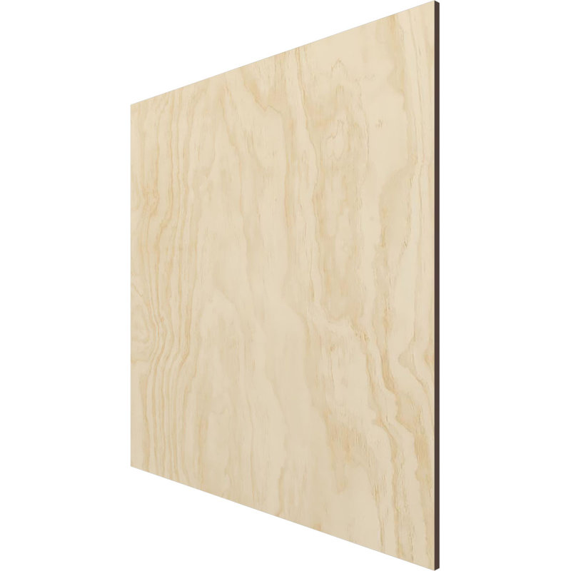 Planche de loisir en bois, Bouleau, H 23,75 po x l 23,75 po x P 0,38 po