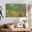 Harnek Olive Grove-107504550