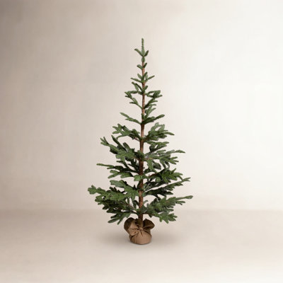 Ponderosa Pine Christmas Tree