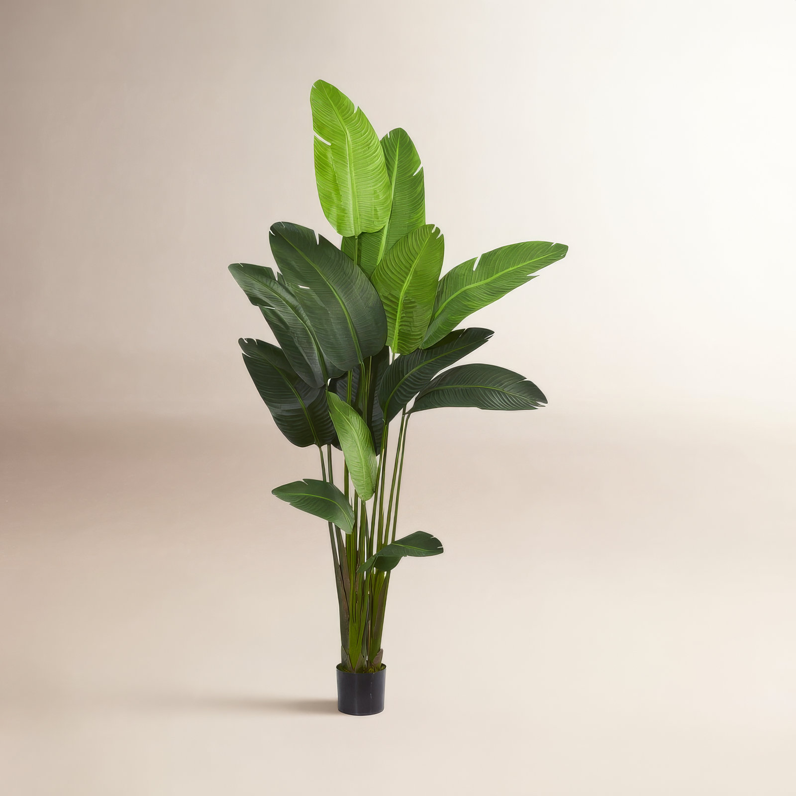 Faux Palm Tree in Planter, 70"H x 20"W x 12"D