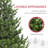 6ft Artificial Christmas Tree